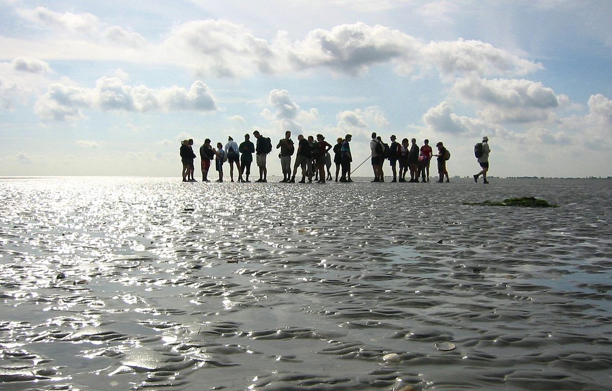 Wadlopen met Durf image